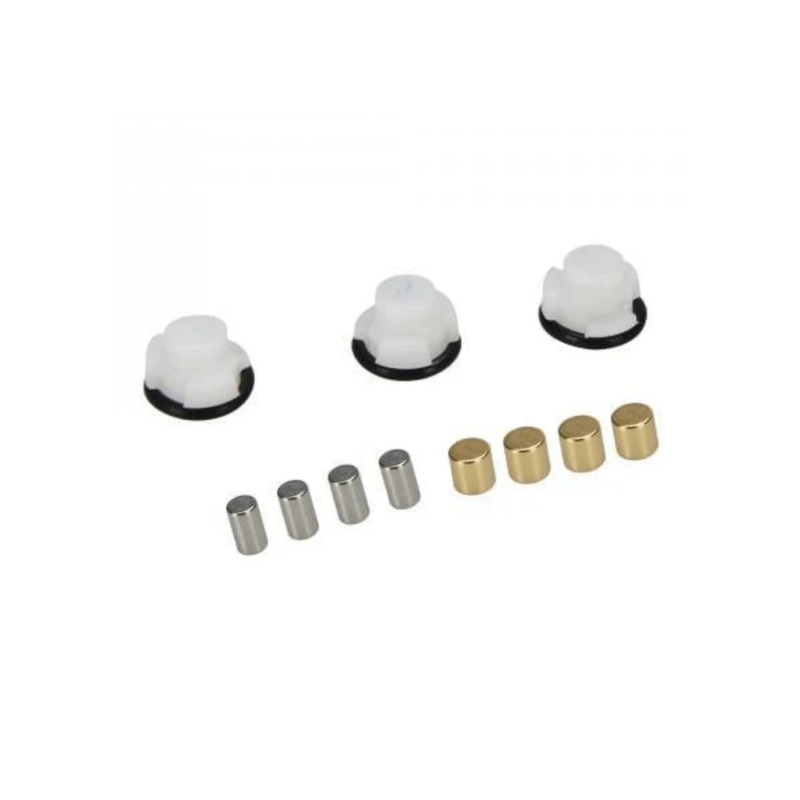 ZIPP MAGNET SET FOR CLUTCH REAR COGNITION NSW HUB